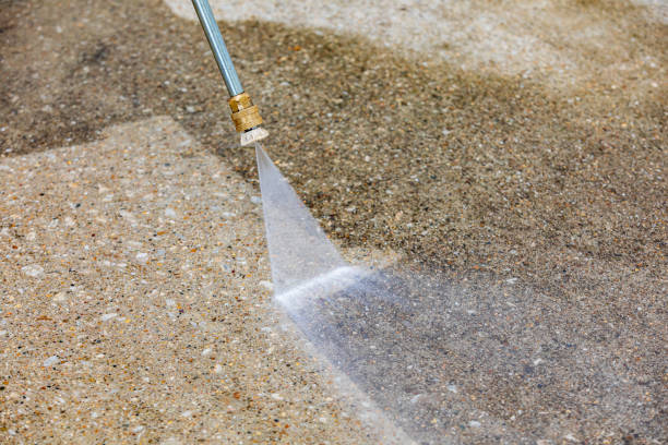 Best Concrete Sealing  in Roosevelt, NJ