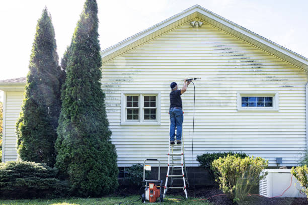 Best Solar Panel Cleaning  in Roosevelt, NJ